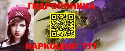 ECSTASY Будённовск