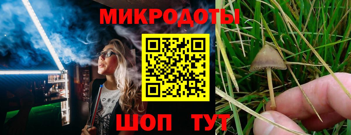 Псилоцибиновые грибы MAGIC MUSHROOMS Нарткала