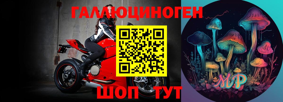 Нарткала  Галлюциногенные грибы Psilocybine cubensis  где можно купить наркотик  Вход с VPN 